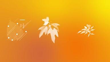 秋天植物动态元素AE合集视频的预览图